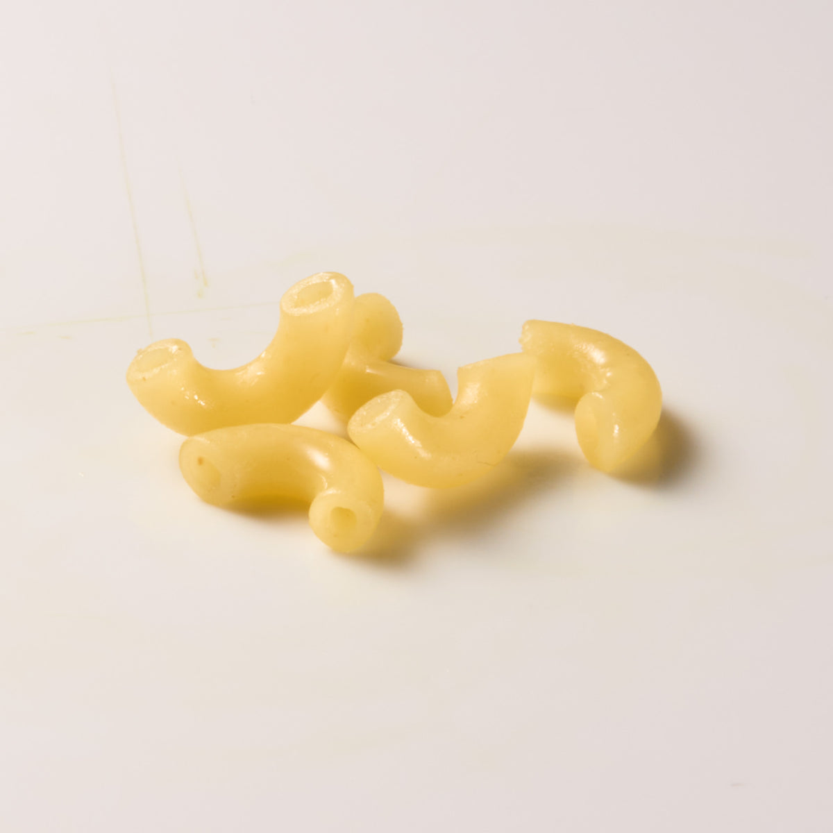 Small pasta shells